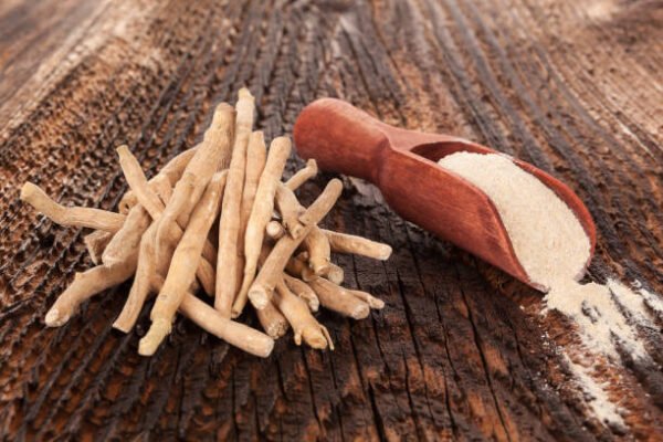 صورة لنبتة أشواغاندا الطبيعية المستخدمة في الطب الهندي